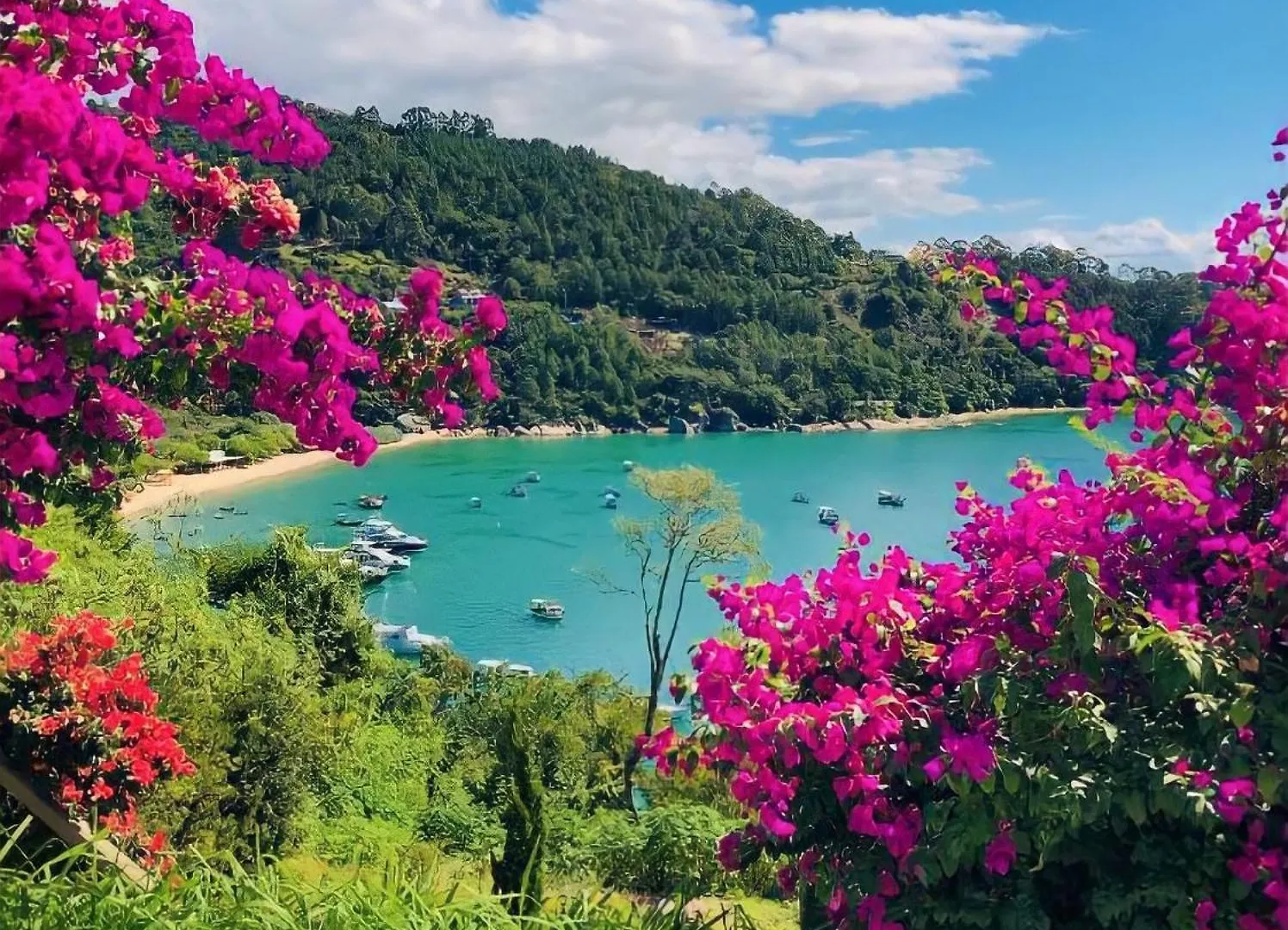 Homestay Mar De Bougainville Governador Celso Ramos Brazil